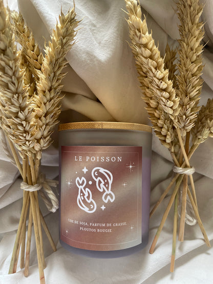 Bougie astrologique Eau pour Cancer, Scorpion et Poissons, en cire de soja — visuel 8 de la galerie